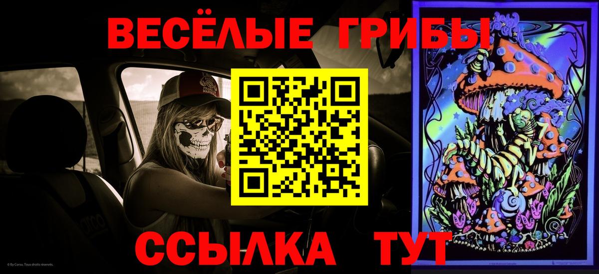 Псилоцибиновые грибы Cubensis  наркошоп  Дубна  Вход с VPN 